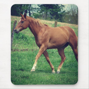 Trot, Scotch Mouse Pad