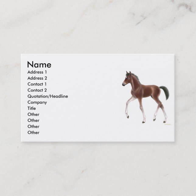Trotting Foal Profile Card (Front)