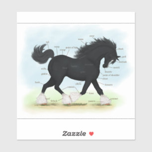 Trotting Shire Draught Horse Equine Anatomy Chart 