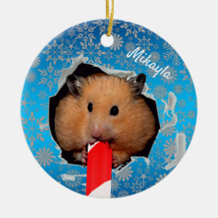 Trou Hamster Chews en ornement de Noël