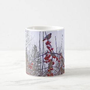 Troupeau de tasse de jaseurs de cèdre