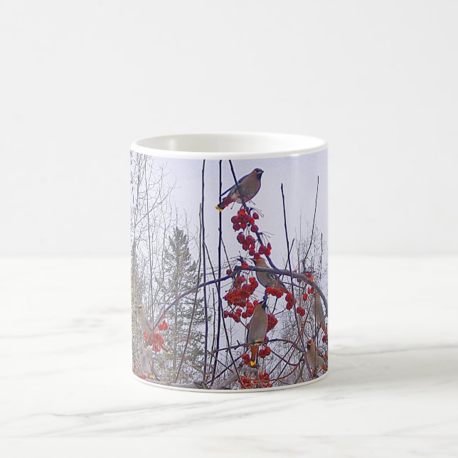 Troupeau de tasse de jaseurs de cèdre (Centre)