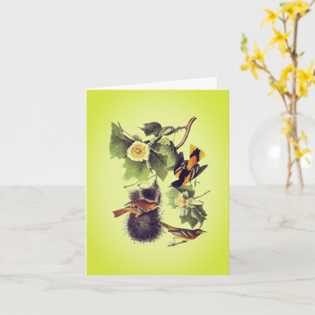 Troupial Oriole Audubon Birds Note Card (Yellow Flower)