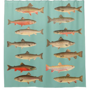 Trout and Salmon - Sherman Denton Fish Lithographs