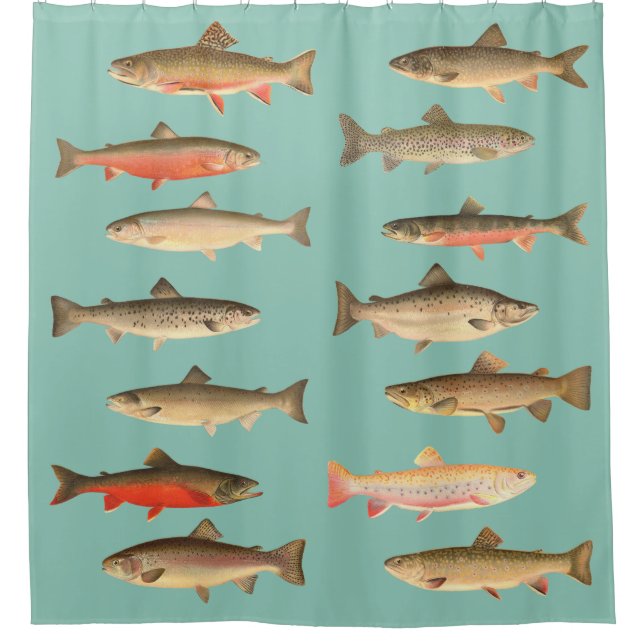 Trout and Salmon - Sherman Denton Fish Lithographs (Front)