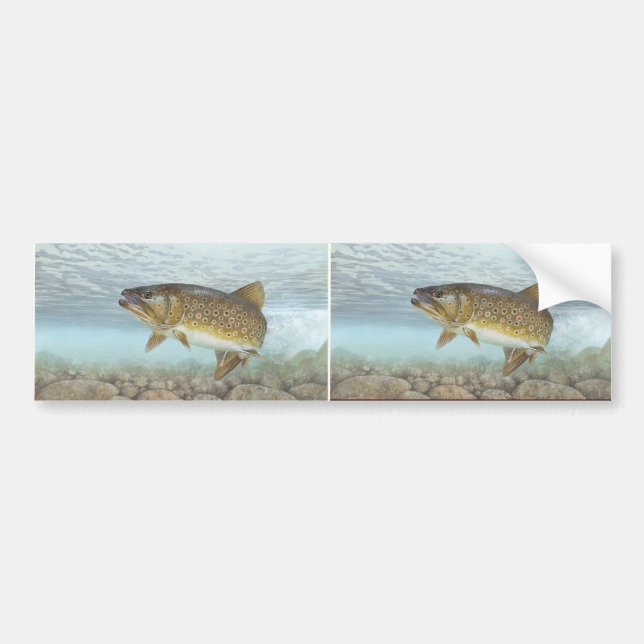 Trout, brook bumper sticker (Front)