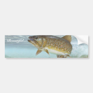 Trout, brook bumper sticker