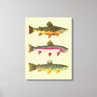 Trout