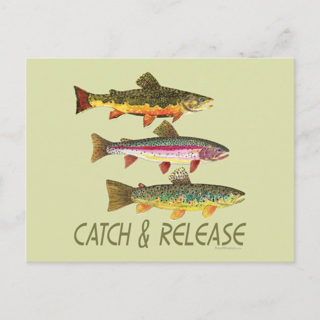 Trout Catch and Release Postcard (Front)