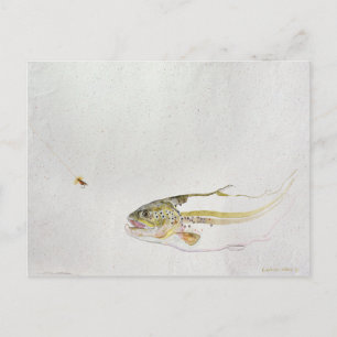 Trout chasing a fisherman's fly postcard