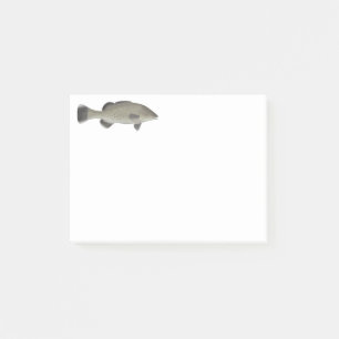 Trout Cod Post-it Notes
