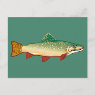 Trout fish art illustration postcard