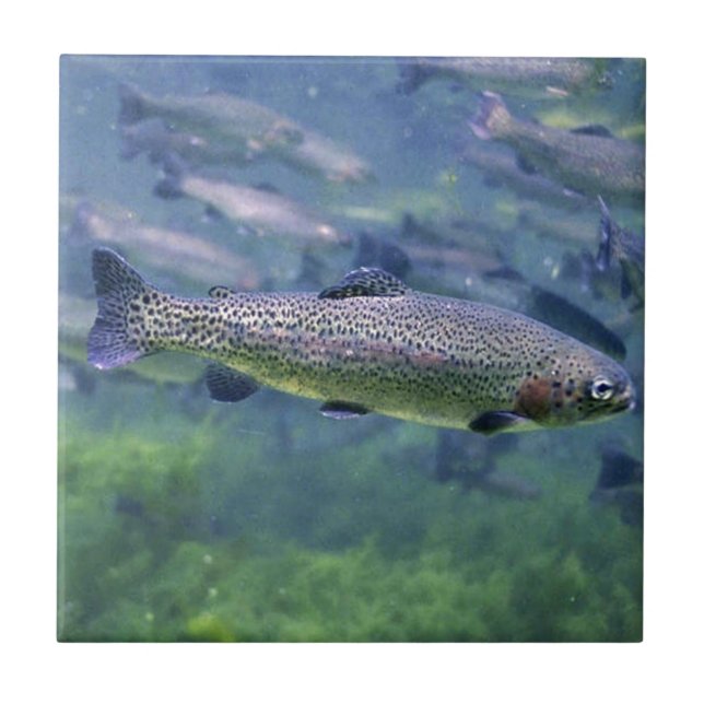 Trout fishermens gifts tile (Front)