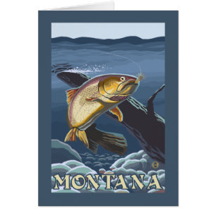 Trout Fishing Cross-Section - Montana
