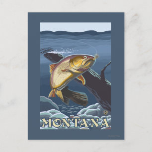 Trout Fishing Cross-Section - Montana Postcard