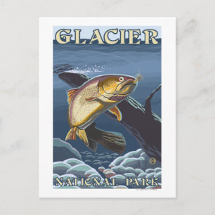 Trout Fishing Cross-Section Postcard