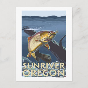 Trout Fishing Cross-Section - Sun River, Postcard