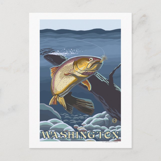 Trout Fishing Cross-Section - Washington Postcard (Front)