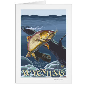 Trout Fishing Cross-Section - Wyoming
