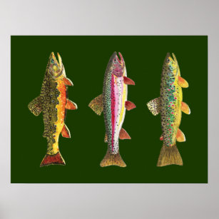 Trout Fishing Poster