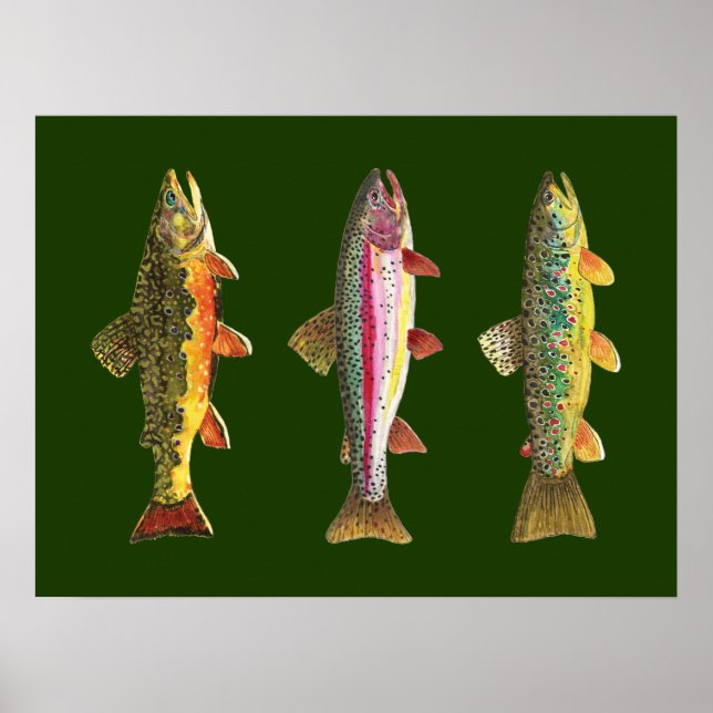 Trout Fishing Poster (Front)