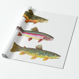 Trout Fly Fishing - Brook, Brown, Rainbow Wrapping Paper