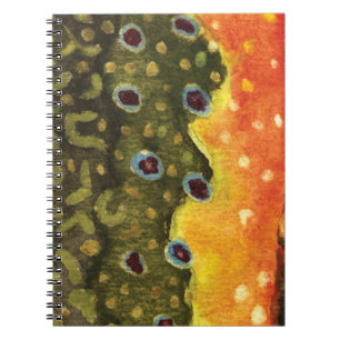 Trout Fly Fishing Notebook