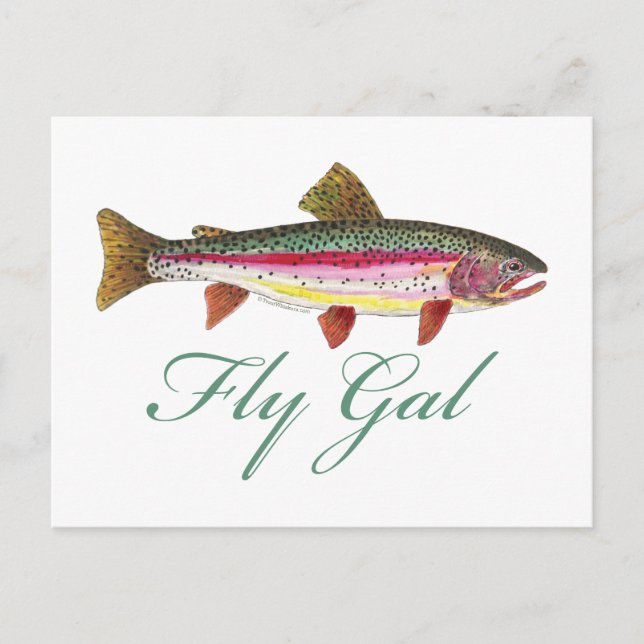 Trout Fly Fishing Postcard (Front)
