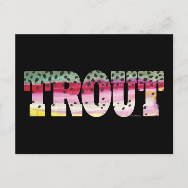 Trout Fly Fishing Postcard (Front)