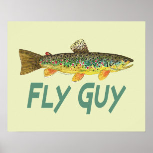 Trout Fly Fishing Poster