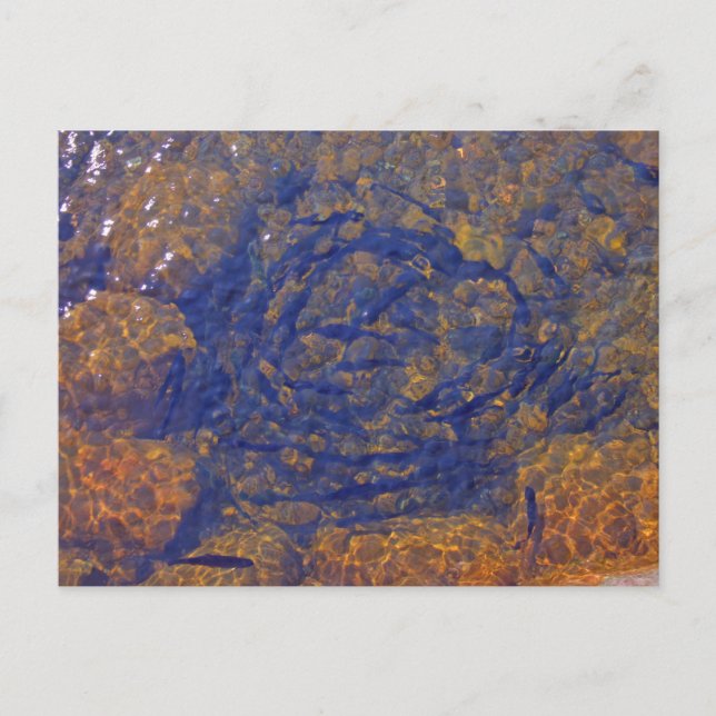 Trout in a Tight Ball in a Pond, Charlevoix, MI Postcard (Front)