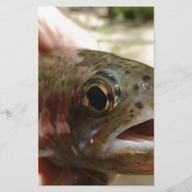 Trout in Hands (Front)