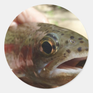 Trout in Hands Classic Round Sticker