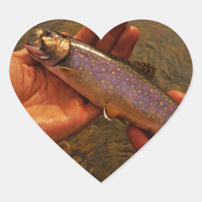 Trout in Hands Heart Sticker (Front)