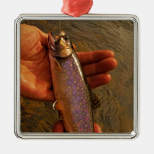 Trout in Hands Metal Ornament