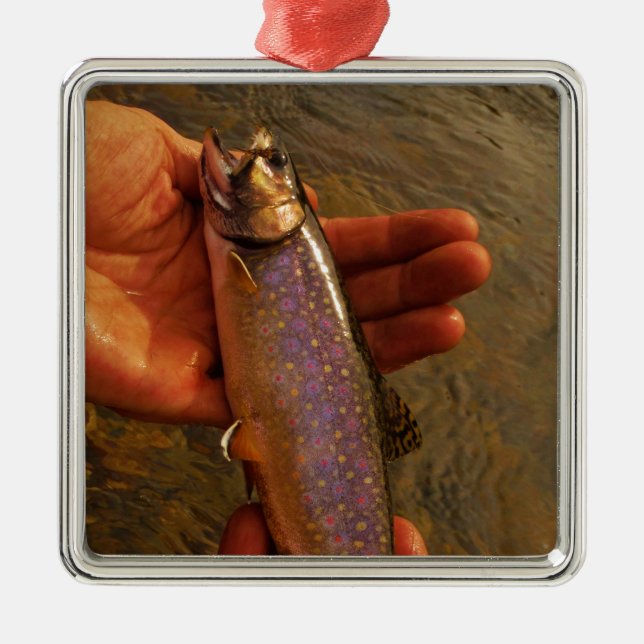 Trout in Hands Metal Ornament (Front)