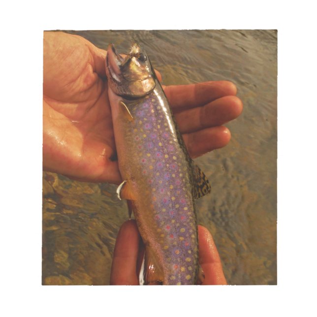 Trout in Hands Notepad (Front)