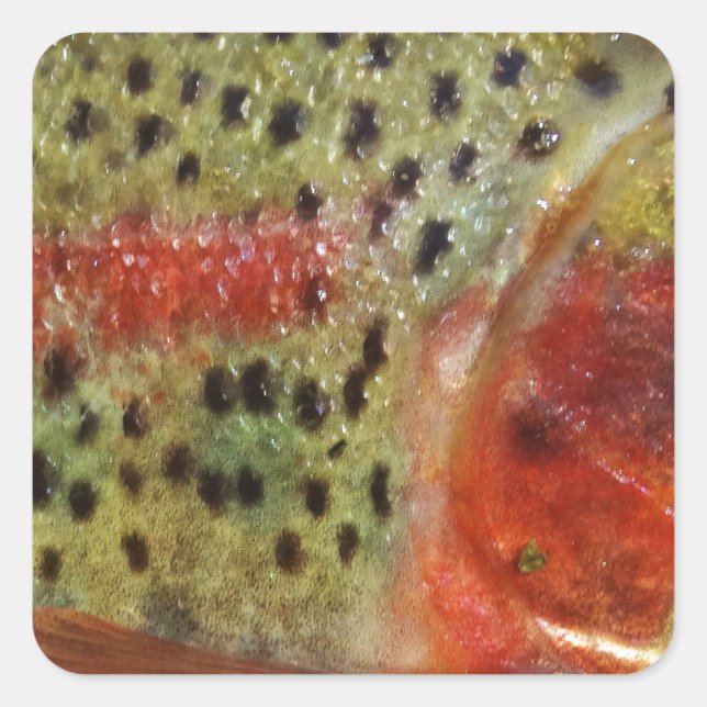 Trout in Hands Square Sticker (Front)