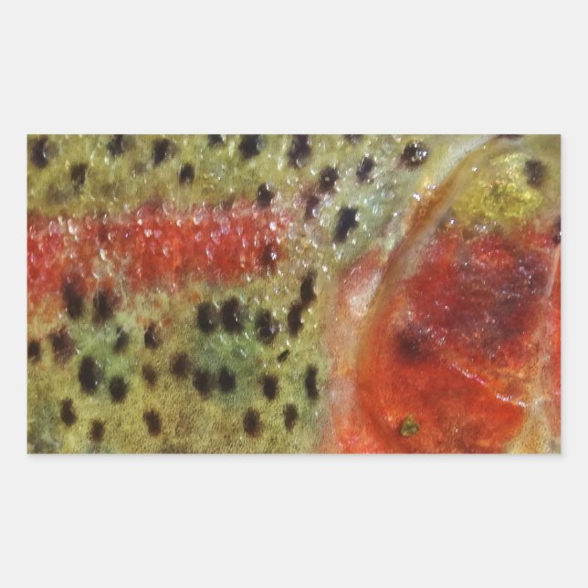 Trout in Hands Sticker (Front)