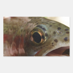Trout in Hands Sticker