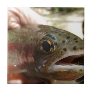 Trout in Hands Tile
