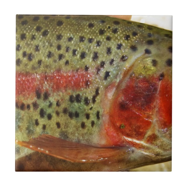 Trout in Hands Tile (Front)