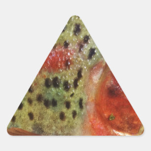 Trout in Hands Triangle Sticker
