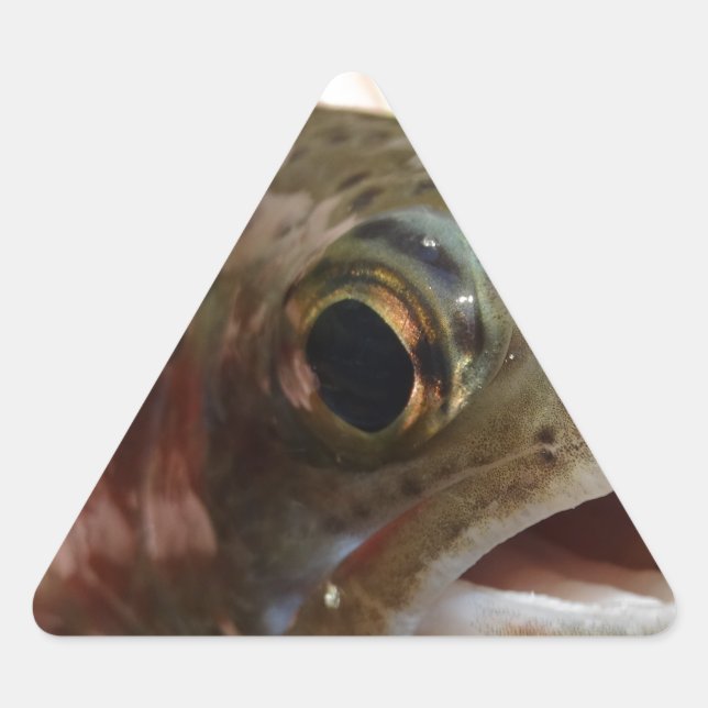 Trout in Hands Triangle Sticker (Front)