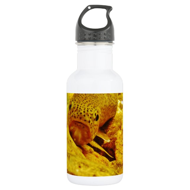 Trout in stream 532 ml water bottle (Front)