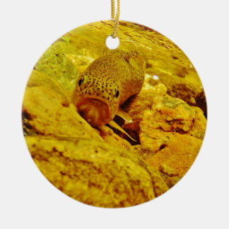Trout in stream ceramic ornament