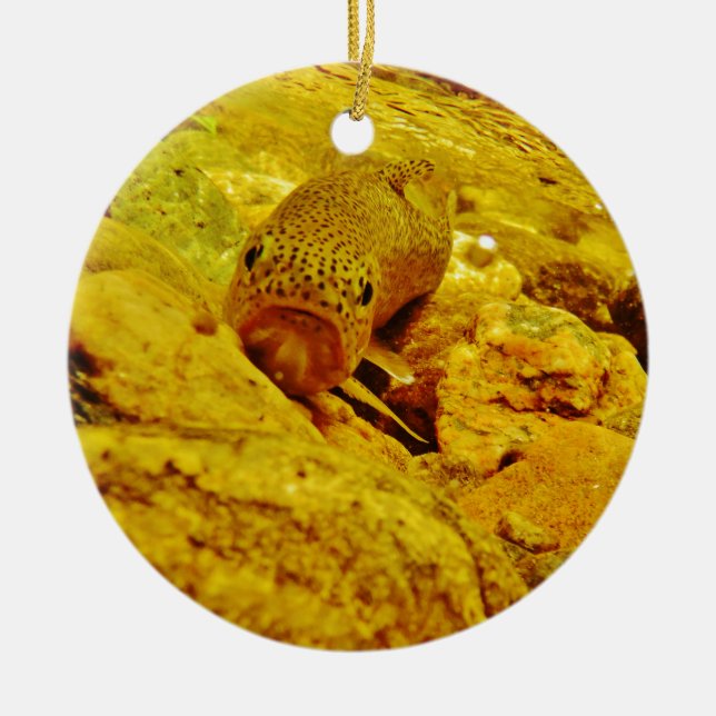 Trout in stream ceramic ornament (Front)