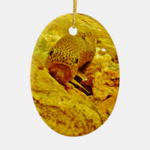 Trout in stream ceramic ornament