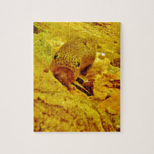 Trout in stream jigsaw puzzle