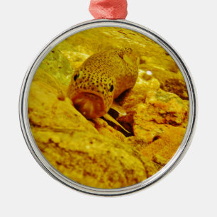 Trout in stream metal ornament